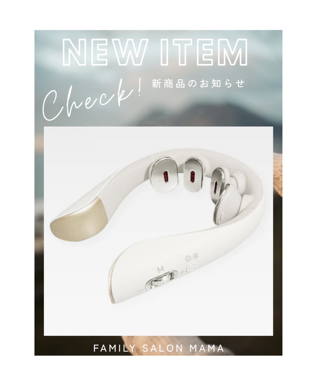 eviden スマートネック極